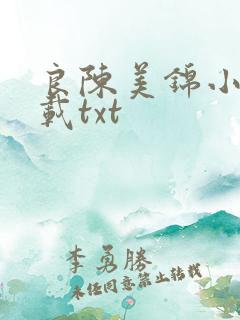 良陈美锦小说下载txt