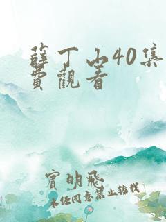 薛丁山40集免费观看