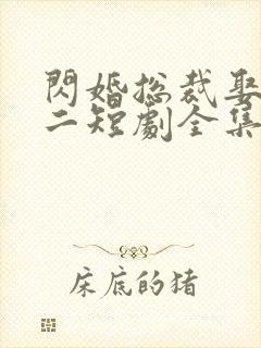 闪婚总裁娶一送二短剧全集免费观看