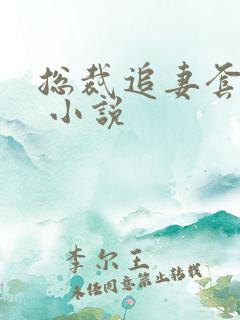 总裁追妻套路深 小说