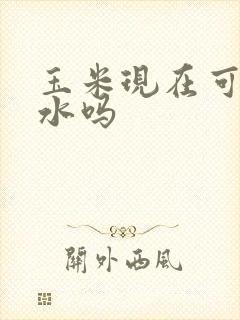 玉米现在可以浇水吗