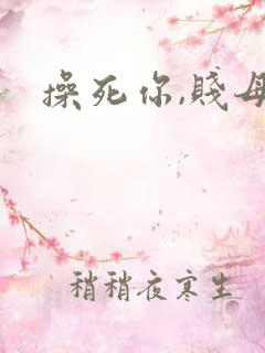 操死你,贱母狗