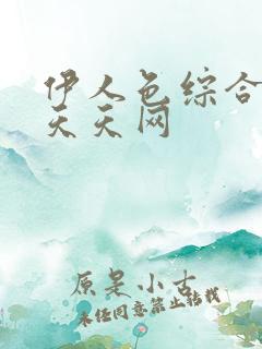伊人色综合久久天天网