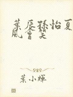 叶辰孙怡夏若雪风会笑