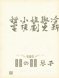 甜小姐与冷先生电视剧更新