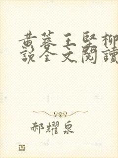 黄蓉王坚柳岩小说全文阅读