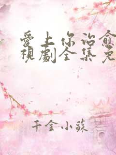 爱上你治愈我电视剧全集免费