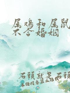 属鸡和属鼠的合不合婚姻