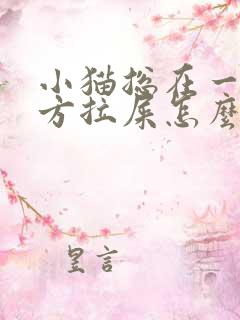 小猫总在一个地方拉屎怎么办