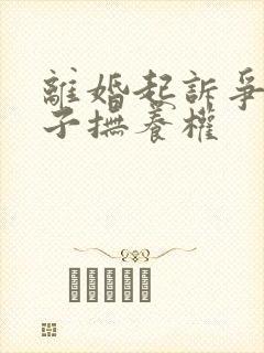 离婚起诉争夺孩子抚养权