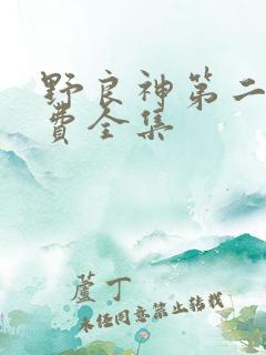 野良神第二季免费全集