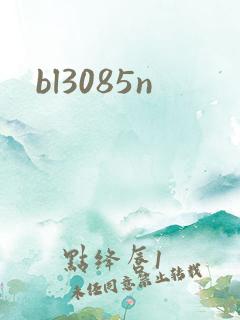 bl3085n