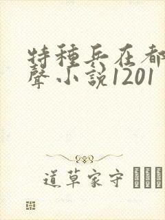 特种兵在都市有声小说1201