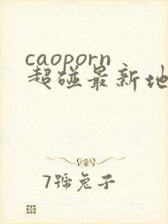 caoporn超碰最新地址入口