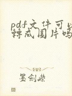 pdf文件可以转成图片吗