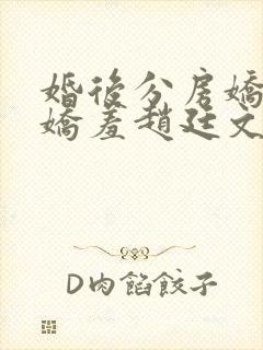 婚后分房娇夫别娇羞赵廷文无删减完整版