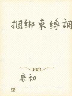 捆绑束缚调教文