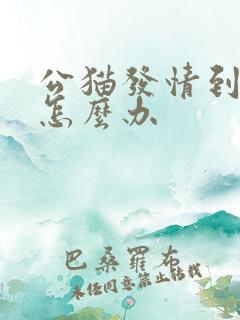 公猫发情到处尿怎么办