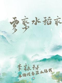 两亩水稻亩产量多少