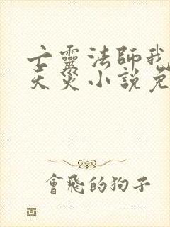亡灵法师我即是天灾小说免费看