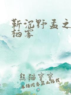 靳沉野孟之瑶唐栖雾