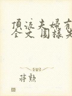 顶流夫妇有点甜全文 图样先森