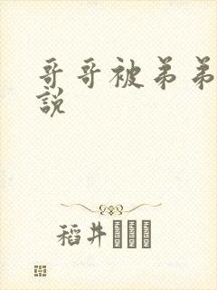 哥哥被弟弟操小说