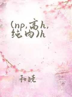 (np,高h,纯肉)h