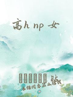 高h np 女
