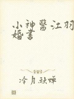 小神医江羽九张婚书