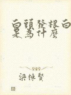 白头发根白尾黑是为什么