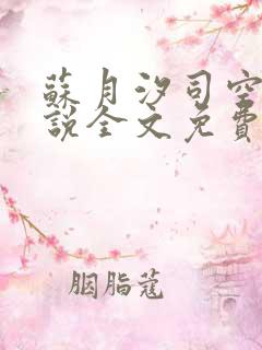 苏月汐司空靖小说全文免费阅读最新更新