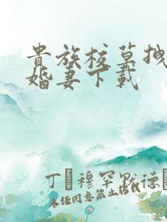 贵族校草拽拽未婚妻下载