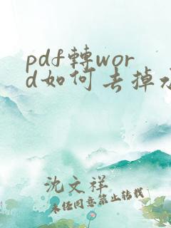 pdf转word如何去掉水印