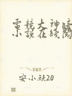 电竞大神暗恋我小说在线阅读