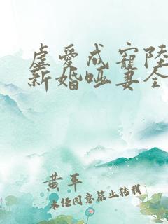 虐爱成宠陆总的新婚哑妻全集