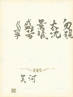 《盛景太匆匆》宁若曦沈砚舟