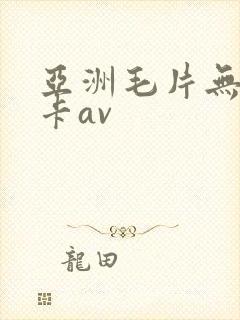 亚洲毛片无毛不卡av