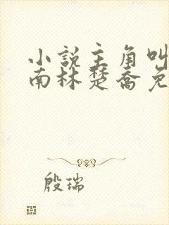 小说主角叫李向南林楚乔免费阅读