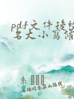 pdf文件后缀名大小写修改