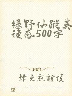 绿野仙踪英文读后感500字