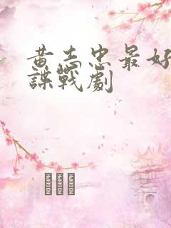 黄志忠最好看的谍战剧