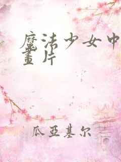 魔法少女中国动画片