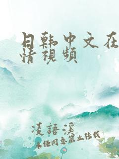 日韩中文在线激情视频
