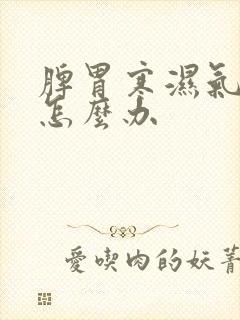 脾胃寒湿气太重怎么办