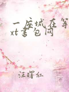 一座城在等你txt书包网