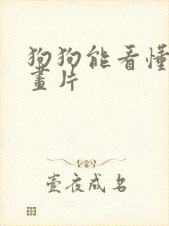 狗狗能看懂的动画片
