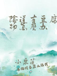 阴道有豆腐渣异物怎么办