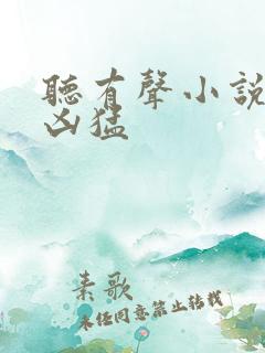 听有声小说公子凶猛