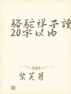 骆驼祥子读后感20字以内